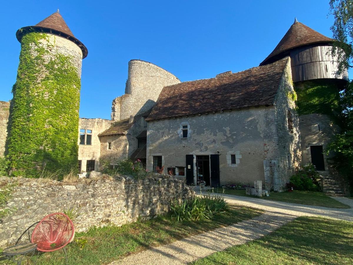Chateau D'Ingrandes Ingrandes  Exterior foto