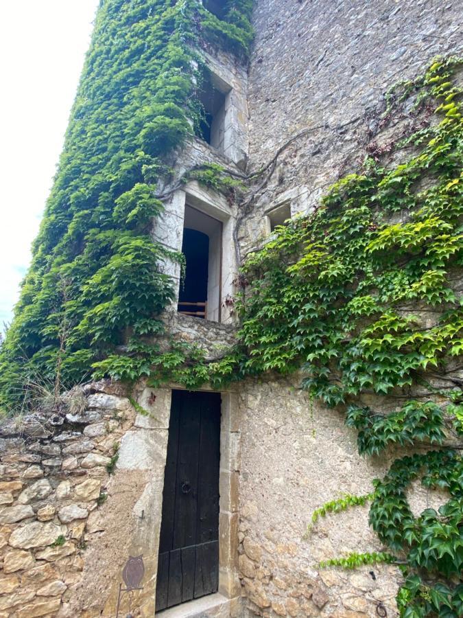 Chateau D'Ingrandes Ingrandes  Exterior foto