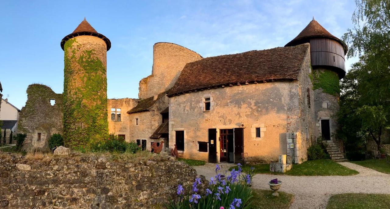 Chateau D'Ingrandes Ingrandes  Exterior foto