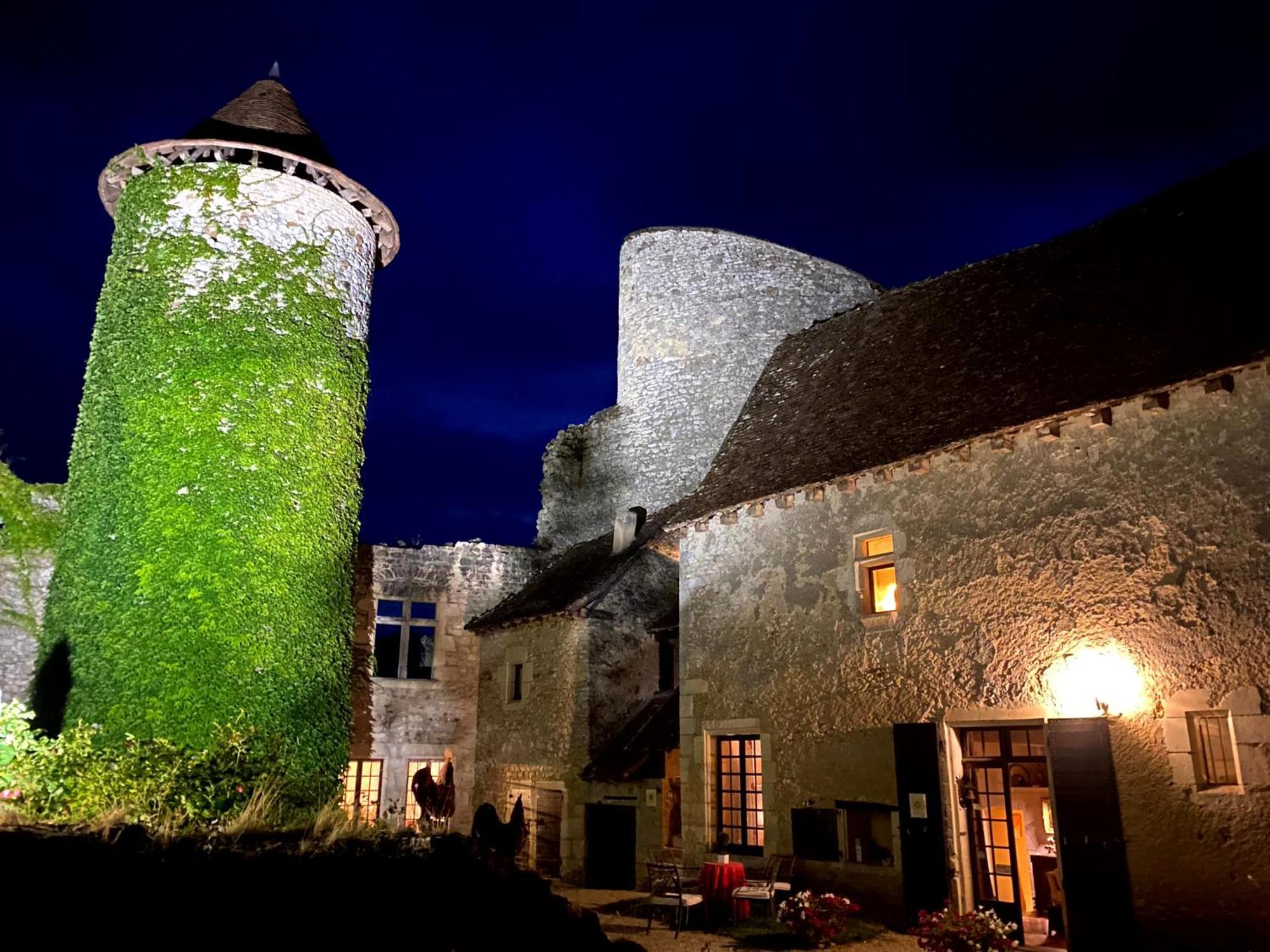 Chateau D'Ingrandes Ingrandes  Exterior foto
